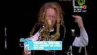 Frenzal Rhomb - Mum Changed The Locks Live