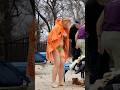 Epiphany 2025 Ice Bath Challenge COLD Swimming 171 Shorts Bathing