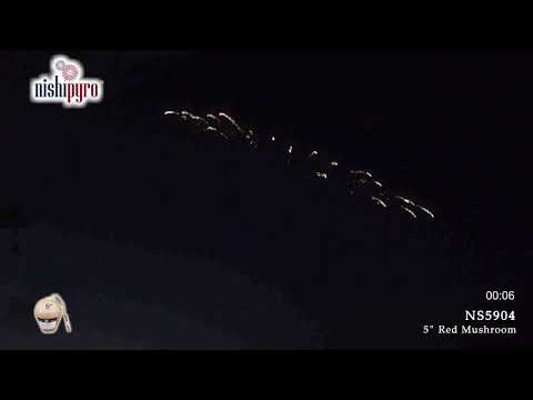 NS5904 - Red Mushroom