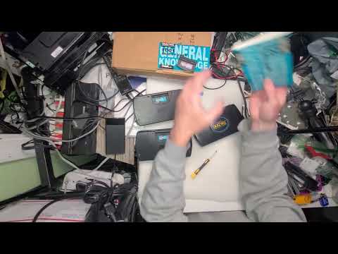 4 Tiger Quiz Wiz Testing