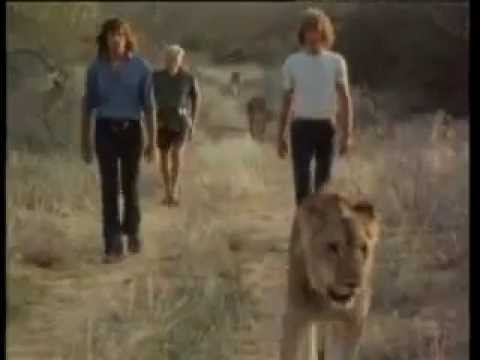 Christian the lion Full ending (english for Germany on Youtube)