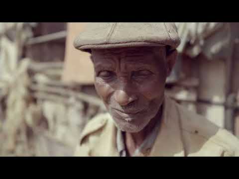 Tunis di Lálá - RENQUI PURGA