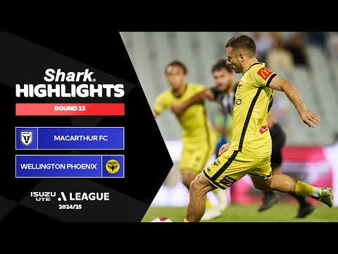 bg-highlight