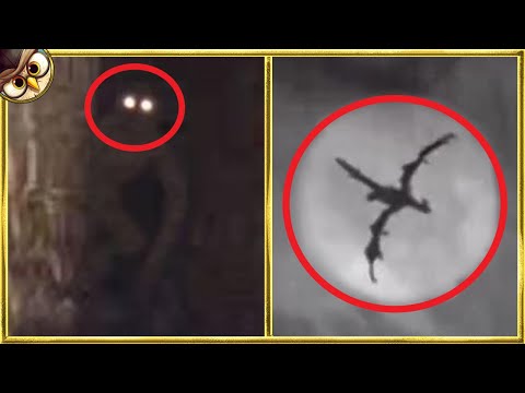30 Mythical Creatures Caught On Camera & Spotted In Real Life!