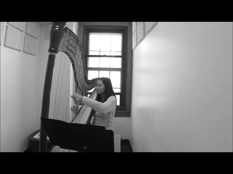 Promotional video thumbnail 1 for New Jersey Harpist - Amber Mecke Duncalfe