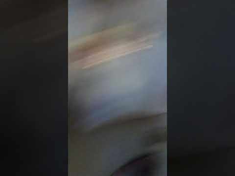 Starfleet 2380 Uniform came