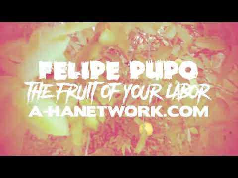 Felipe Pupo - The Fruit of Your Labor