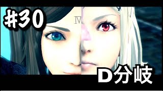 #30/D分岐【DOD3/ドラッグオンドラグーン3】魔獣使うとか聞いてない【アクションRPG/実況】