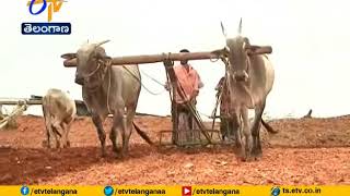 Bigwig Technologies | A Startup Established by Two Young Friends | for Agricultural Innovations