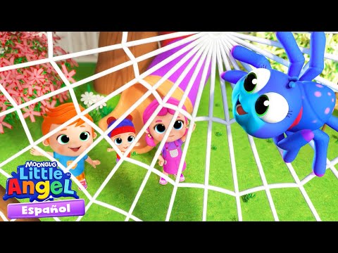 La arañita chiquitita | Canciones Infantiles 🎵  Para bebés | Little Angel y sus amigos