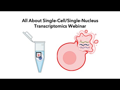 All About Single-Cell/Single-Nucleus Transcriptomics