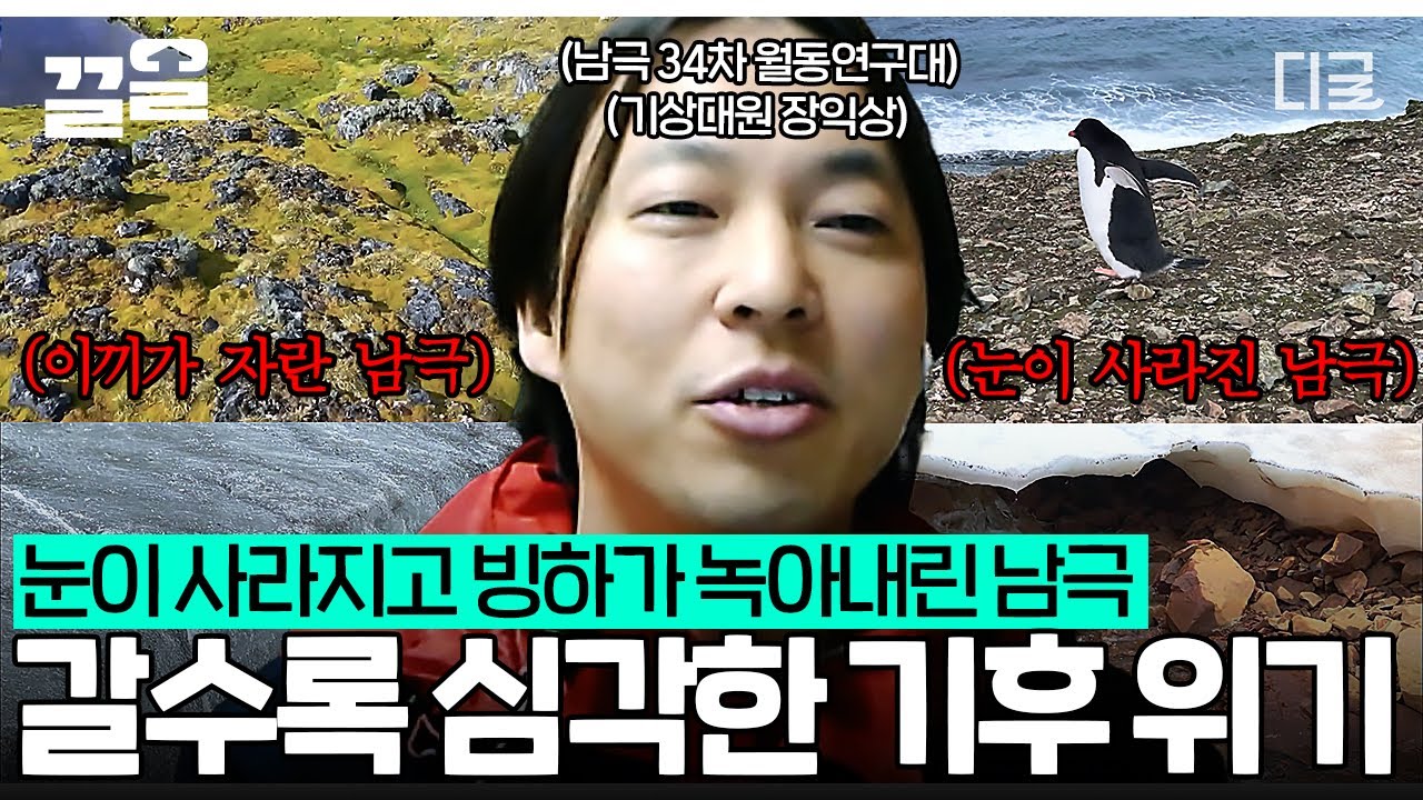 !지구온난화의 최후 경고! 빙하까지 사라지고 있다?! 더욱 심각해지는 기후 재난... "우리 모두의 관심이 필요할 때"