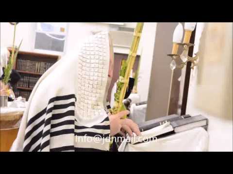 Sukkos 5776 in Chust