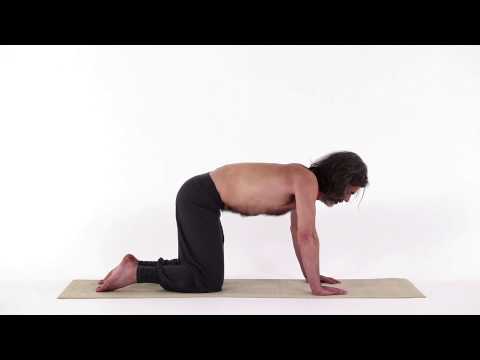 ABDOMINAL BREATHING: ALL FOURS | Haṃsa Free School of Hatha Yoga