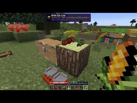 Terrafirmacraft Reloaded - E76 - Baby Chickens (Minecraft)