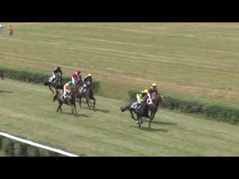 2017 Světlá Hora - 1.dostih - Cena společnosti Lázně Poděbrady a.s.