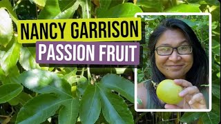 Gardening in Arizona ~ Yellow Nancy Garrison Passion Fruit