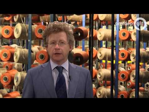 Gelderland Stemt 2015 - D66