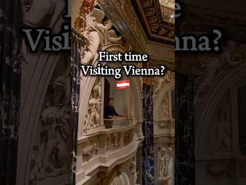 Things to do in Vienna 🇦🇹