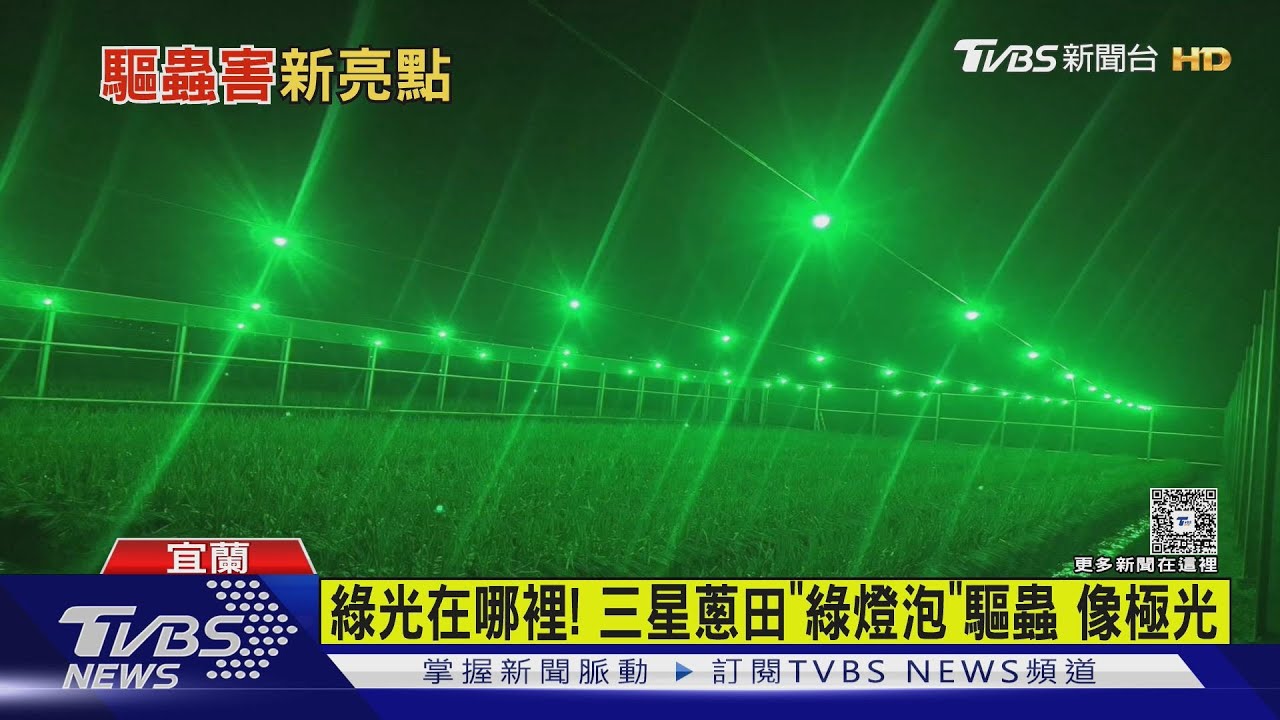 綠光在哪裡!三星蔥田「綠燈泡」驅蟲 像極光