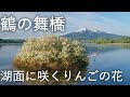 channel