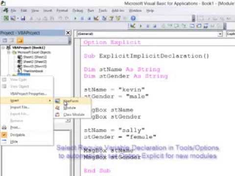 1 Introduction to Programming with VBA The Integrated Development Environment