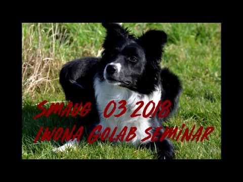 NNL R'Smaug Iwona Golab seminar 03/2018