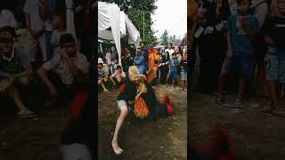 Download lagu mas Glen bule mbarong keprok jumbo jaranan Turonggo Budoyo sakti mp3