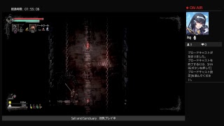 Salt and Sanctuary初見プレイする。#4