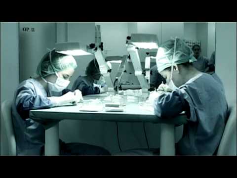 video Haartransplantatie thumbnail