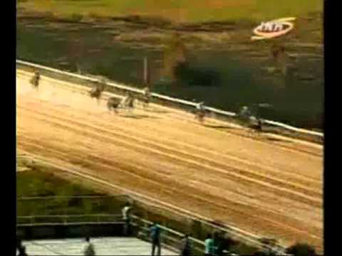 Resumen Jueves, 30 de Enero de 2014 - Valencia