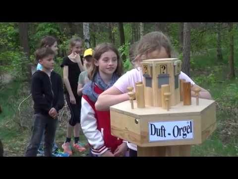 Waldjugendspiele in der Königsbrücker Heide - LAUSITZWELLE