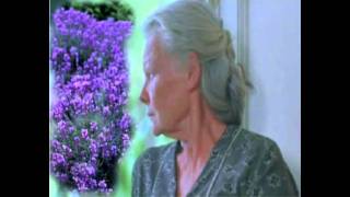 Joshua Bell - A Broken Heart