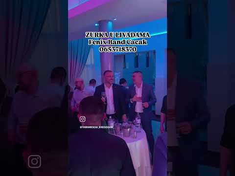 0653718370 Djordje & Fenix Band Cacak U Cacku Muzika-Orkestar-Bendovi Za Svadbe,Rodjendan