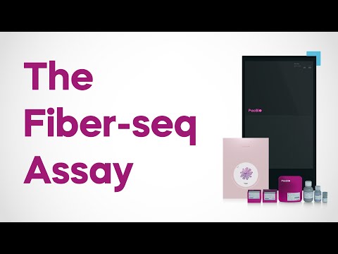 Detecting 5mC & 6mA methylation with PacBio