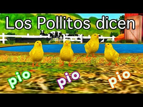 Los pollitos dicen pio pio pio - Canciones de la Granja - Videos Educativos para Niños #