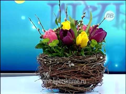 Наш Кличко: Поздравление губернатора Липецкой области изумило