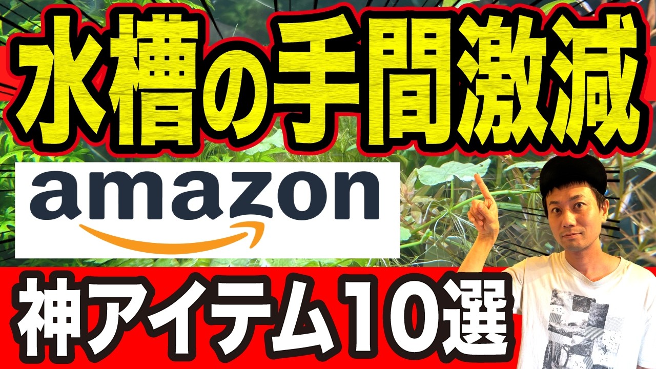 Amazonで買える水槽メンテがラクになる便利アイテム10選