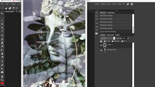 Photopea: Layering Images