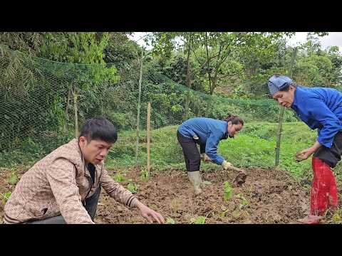 Together with Khánh, planting water spinach for mom and the sincere meeting of Nhượng and Thoan.