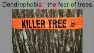 Killer Trees