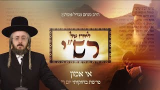 הרב מנחם מנדל פומרנץ | לאורו של רש"י - יום ד' פרשת בחוקותי • אי אמון •