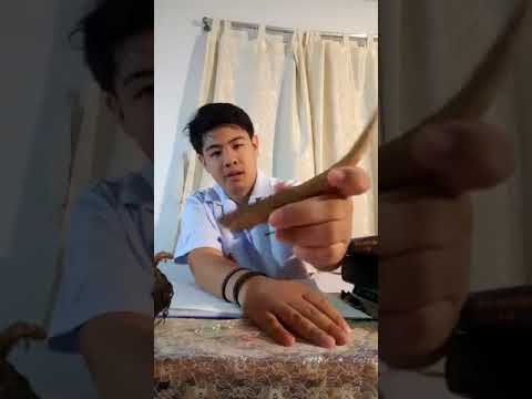 Bisoprolol และความอ่อนแอ จุดบนร่างกายของแรงที่