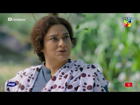 Zargoona Achi Khasi Aqalmand Ho Kar Bhi Hilmand Ko Kyun Pagal Samajhti - Sang-e-Mah - HUM TV