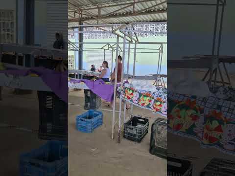 várzea nova Bahia