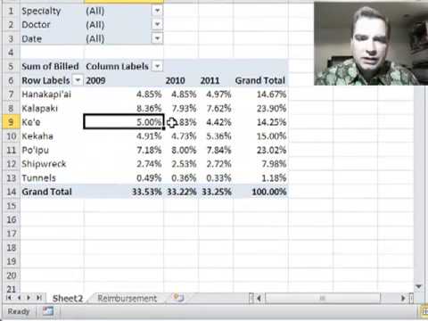 Excel Video 299 Percentages of the Total