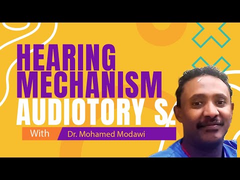 Hearing mechanism, Auditory system, #Ear anatomy #Special senses #Neuro #Anatomy #hearig #auditory