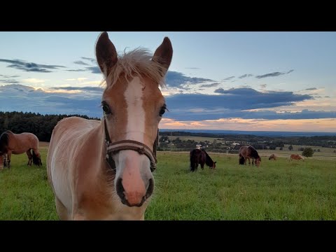 Unser Jahr 2022 (Jahesrückblick in Fotos)