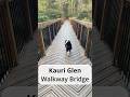 Kauri Glen Bridge North Shore Auckland NZ Aucklandnewzealand