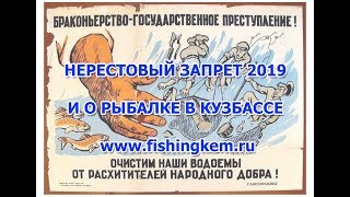 Весенний запрет рыбной ловли в кемеровской области